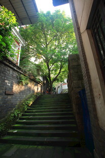 绿荫下的静谧石阶小巷