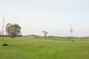 绿茵高尔夫球场美景