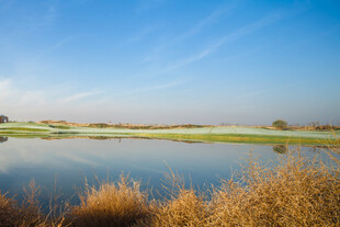 宁静河畔风景