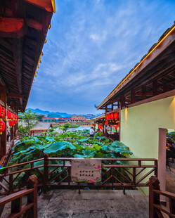 古巷荷塘美景