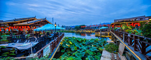 水乡夜景 璀璨灯火映绿荷