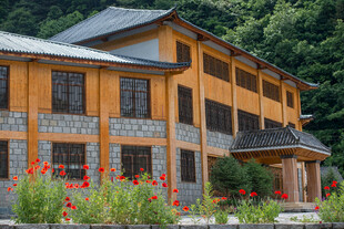 山间木屋旁绽放的艳丽花朵