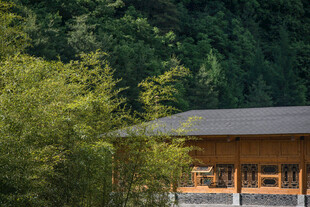 山林中的木质小屋