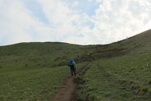 徒步者穿行于绿意山坡