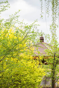 绿树环绕的古朴小屋