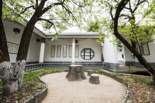 庭院中的古朴建筑与绿植