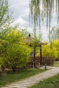 春日园林中的雅致小凉亭