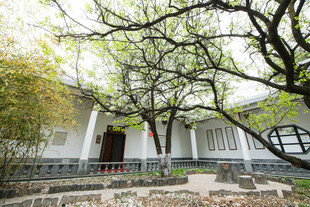 中式庭院 繁茂树枝下的建筑