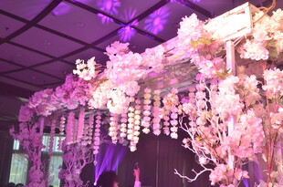 梦幻粉色系婚礼花卉布置