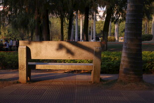 公园长椅沐浴在夕阳余晖中