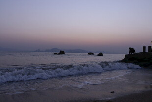 海边暮色下的海浪与岸景