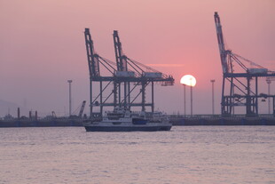 港口夕阳下的起重机与船只