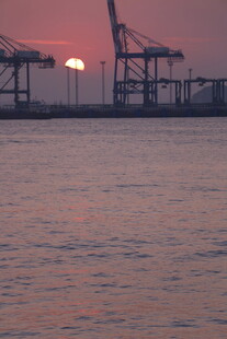 夕阳下的港口起重机景观