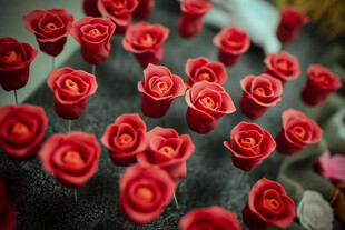 工艺品红玫瑰状仙人掌花朵绽放