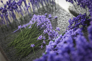 工艺品紫色花丛近景特写