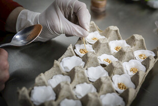 工艺品手工制作花朵