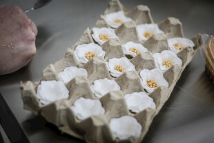 工艺品蛋托中绽放的精致花朵