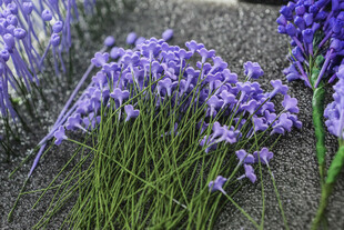 工艺品紫色小花