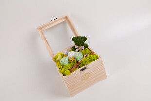 工艺品木质提篮中的多肉植物