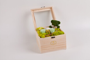 工艺品木盒中的新鲜绿色水果