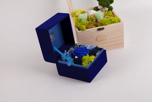 工艺品蓝色珠宝盒与绿植摆件