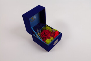 工艺品蓝色礼盒中的娇艳红玫瑰