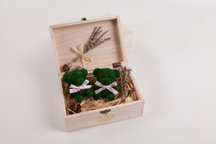 工艺品木质礼盒中的绿植装饰