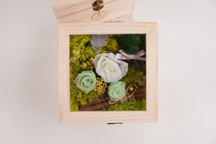 工艺品木质相框中的多肉植物