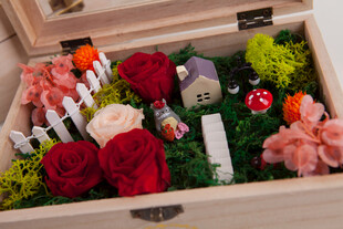 精致木盒中的微缩花园景观