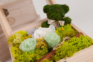 工艺品精致苔藓微景观摆件