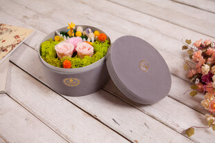 工艺品精致盒装多肉植物组合