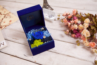 工艺品立体贺卡中的梦幻海底世界