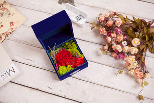 工艺品蓝色礼盒中的鲜艳花朵