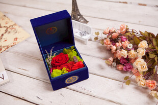 工艺品蓝色礼盒中的多彩永生花