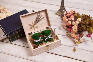 木质礼盒中的绿植装饰