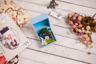 工艺品旅行照片与纪念品展示