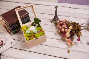 工艺品精致盒装花卉与装饰摆件