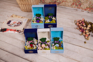 工艺品精美卡通人物礼盒套装