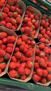 新鲜盒装草莓整齐摆放