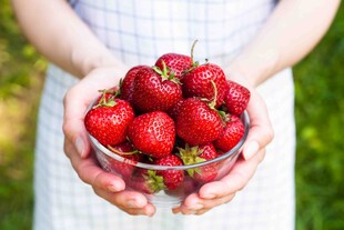 手捧新鲜饱满的红草莓