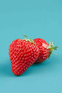 两颗鲜草莓置于蓝背景