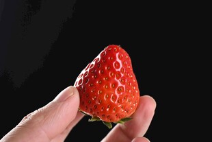 手托鲜红饱满大草莓