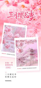 樱花季