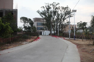 乡村宽阔水泥路及周边景象