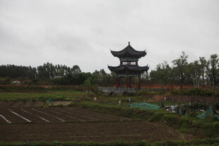 田野边的中式古建筑景观