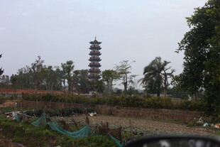 田野中的古老宝塔景观