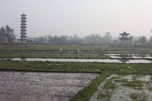 雾中田园古塔景观