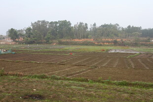 田野风光 宁静的农耕场景