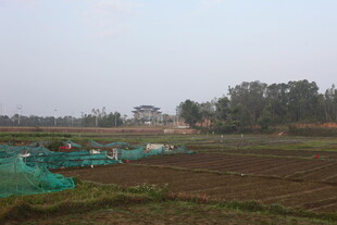 田野中的蓝色围栏景观