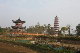 古建风光 塔与楼阁相映